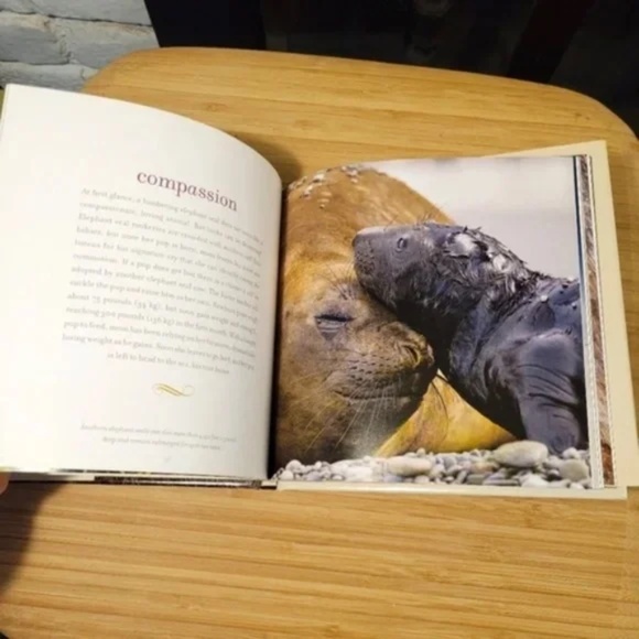 ❤️ Gift Book The Wisdom of Moms from NatGeo - Picture 7 of 8